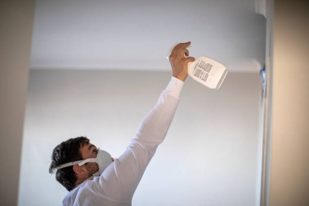 Best Basement Mold Remediation in Kings Beach, CA
