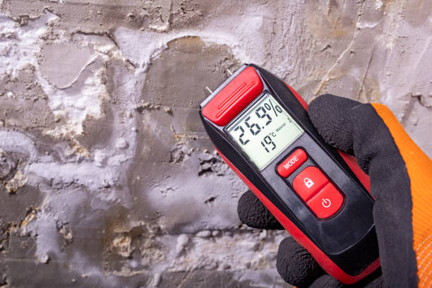 Best Crawl Space Mold Remediation in Kings Beach, CA
